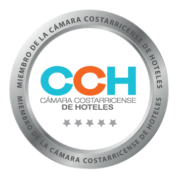 CCH Logo